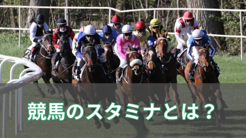 競馬のスタミナとは?スタミナのある馬の特徴や判断方法を初心者向けに解説のアイキャッチ