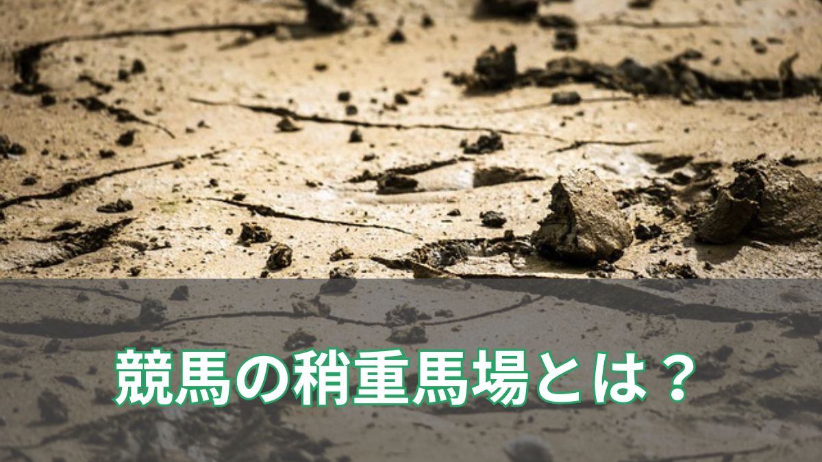 競馬の稍重とは?読み方や芝・ダートへの影響、有利な馬や血統をわかりやすく解説のアイキャッチ