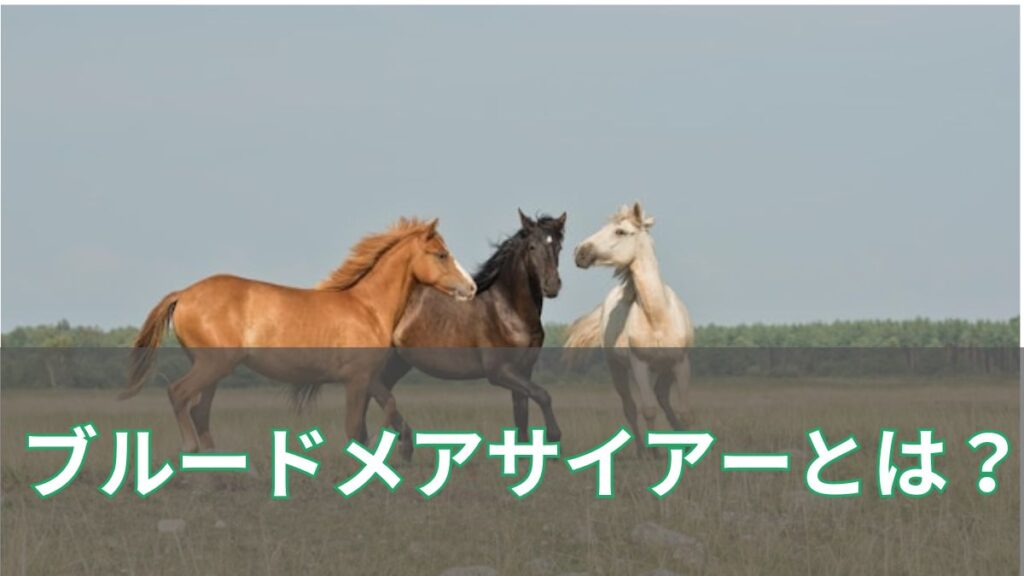 ブルードメアサイアーとは?意味やランキング、歴代の名馬を初心者向けに解説のアイキャッチ