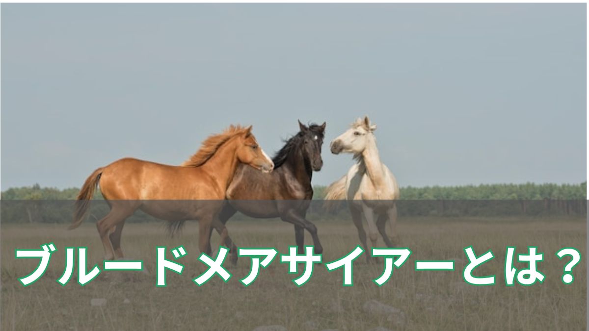 ブルードメアサイアーとは?意味やランキング、歴代の名馬を初心者向けに解説のアイキャッチ