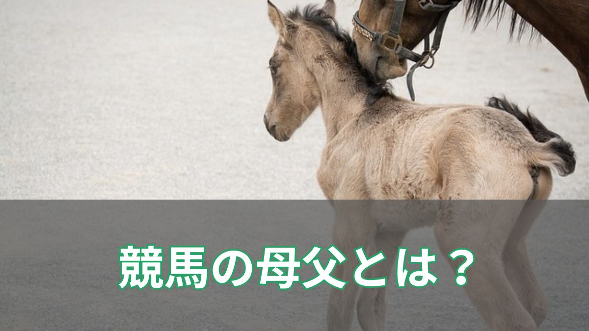 競馬の母父とは?母の父が血統に与える影響を初心者向けに解説のアイキャッチ