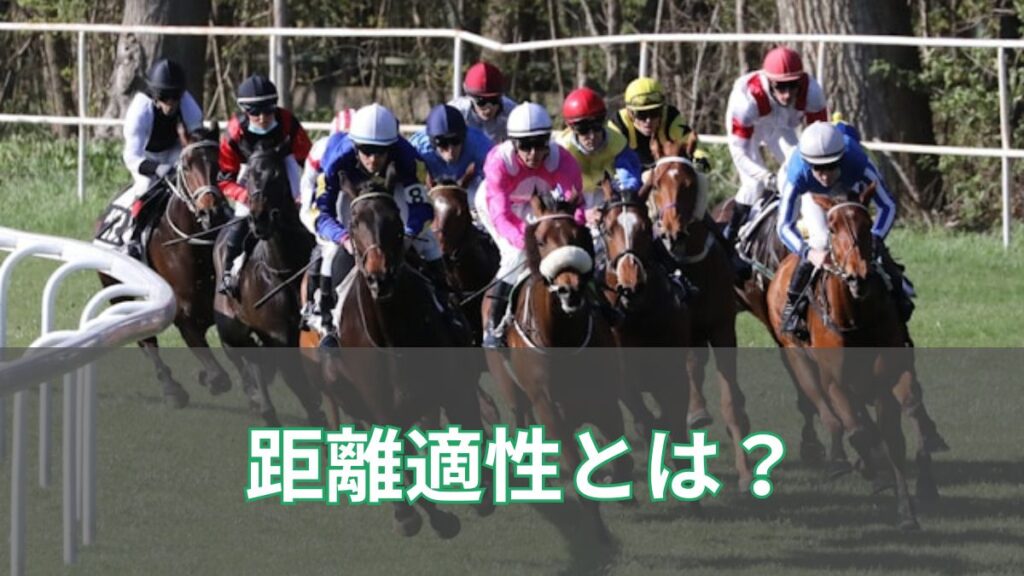競馬の距離適性とは？血統・馬体・判断方法を初心者向けに解説のアイキャッチ