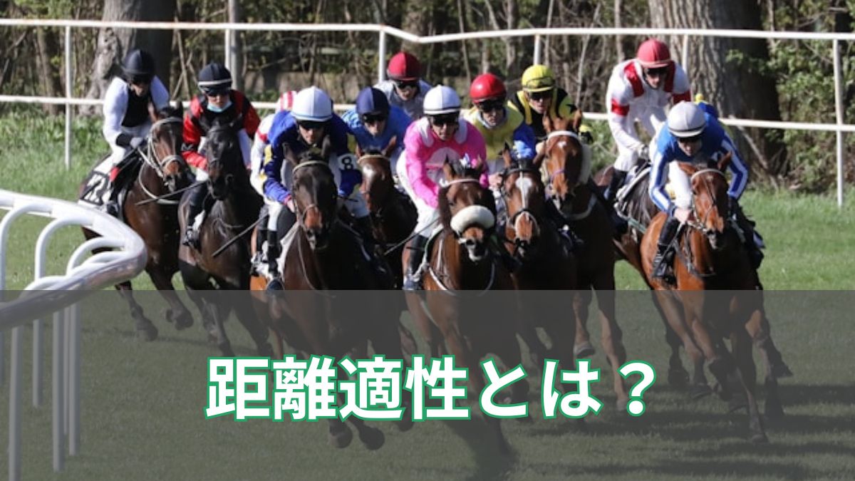 競馬の距離適性とは？血統・馬体・判断方法を初心者向けに解説のアイキャッチ
