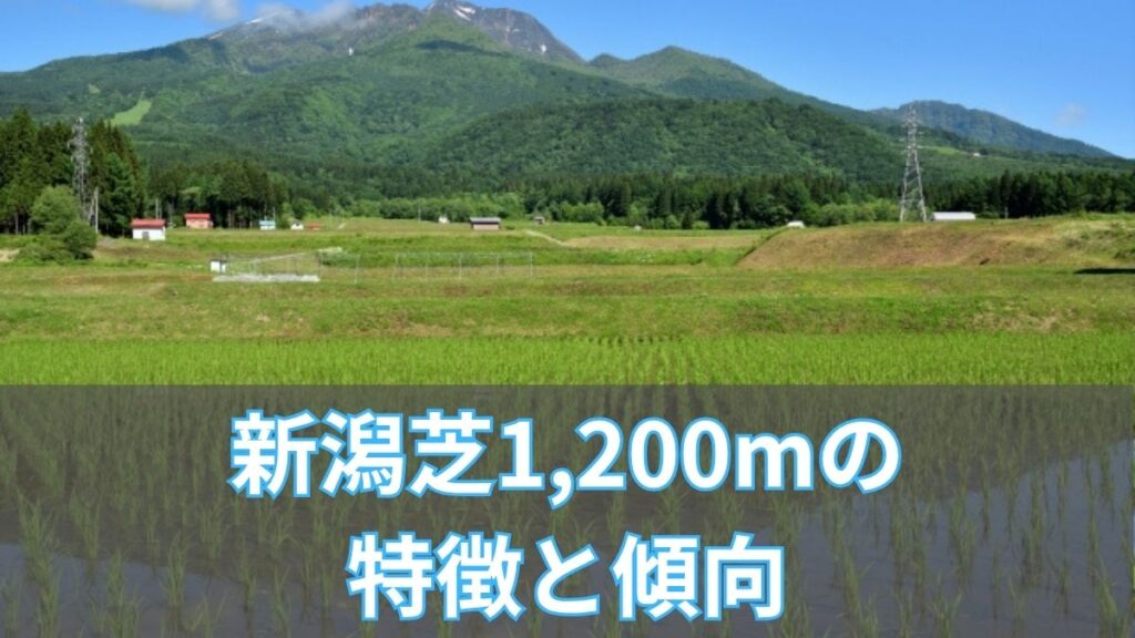 新潟芝1,200mの特徴と傾向｜タイム・血統・枠順データ完全攻略のアイキャッチ