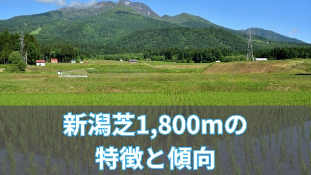 新潟芝1,800mの特徴と傾向｜枠順・脚質・血統データから攻略のアイキャッチ