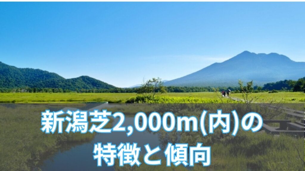 新潟芝2,000m(内)の特徴と傾向|枠順・脚質・血統データを解説のアイキャッチ