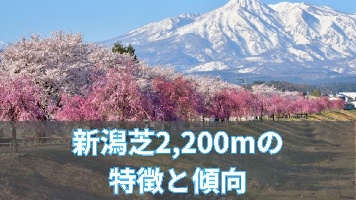 新潟芝2,200mの特徴と傾向|枠順・脚質・血統データから攻略のアイキャッチ