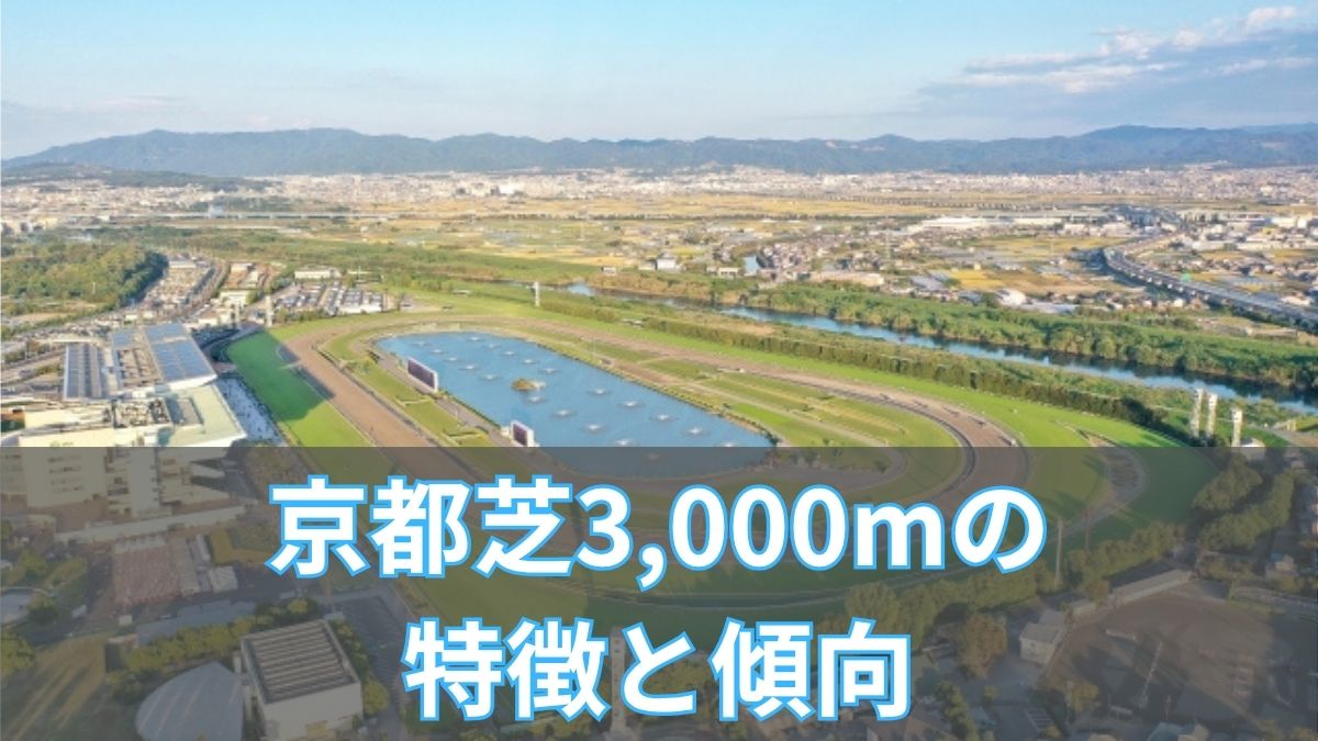 京都芝3,000mの特徴と傾向|枠順・脚質・血統データから攻略のアイキャッチ